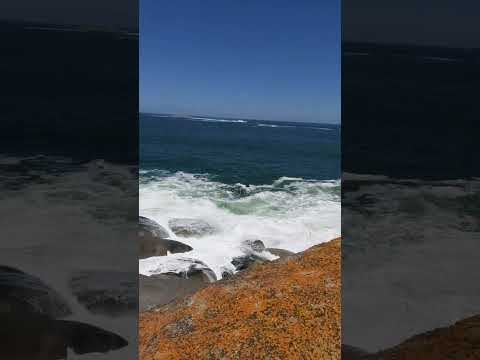 Walking on Victor Harbor Giant Rock #adelaide #beach Beach #victor