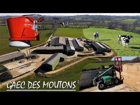 🤠Cette exploitation à robotiser l’alimentation de son élevage avec les performances du LELY VECTOR
