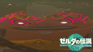 俺は救うぞ...ゴロンお前を【＃２８】【ゼルダの伝説 ティアーズ オブ ザ キングダム】