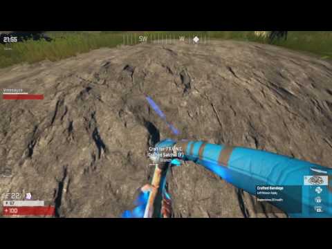 The Culling - Vinny and Jeff [Vinesauce and The Vidya Bum] PART 2