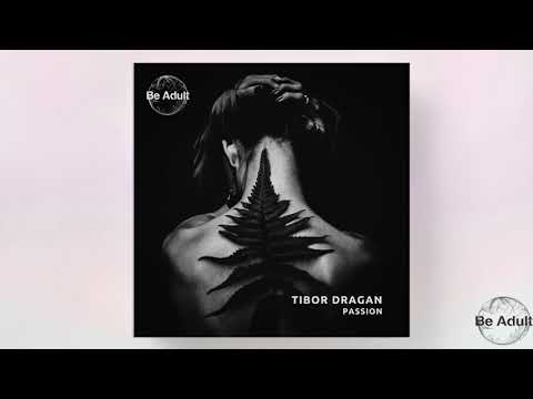 Tibor Dragan - I don't like you (Original mix)