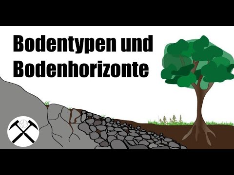 Bodentypen und Bodenhorizonte | Bodenkunde 3 ⛰️