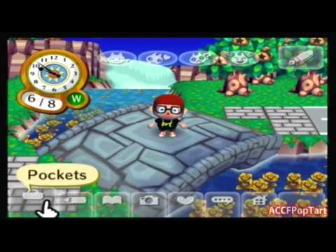 Animal Crossing City Folk Hacks