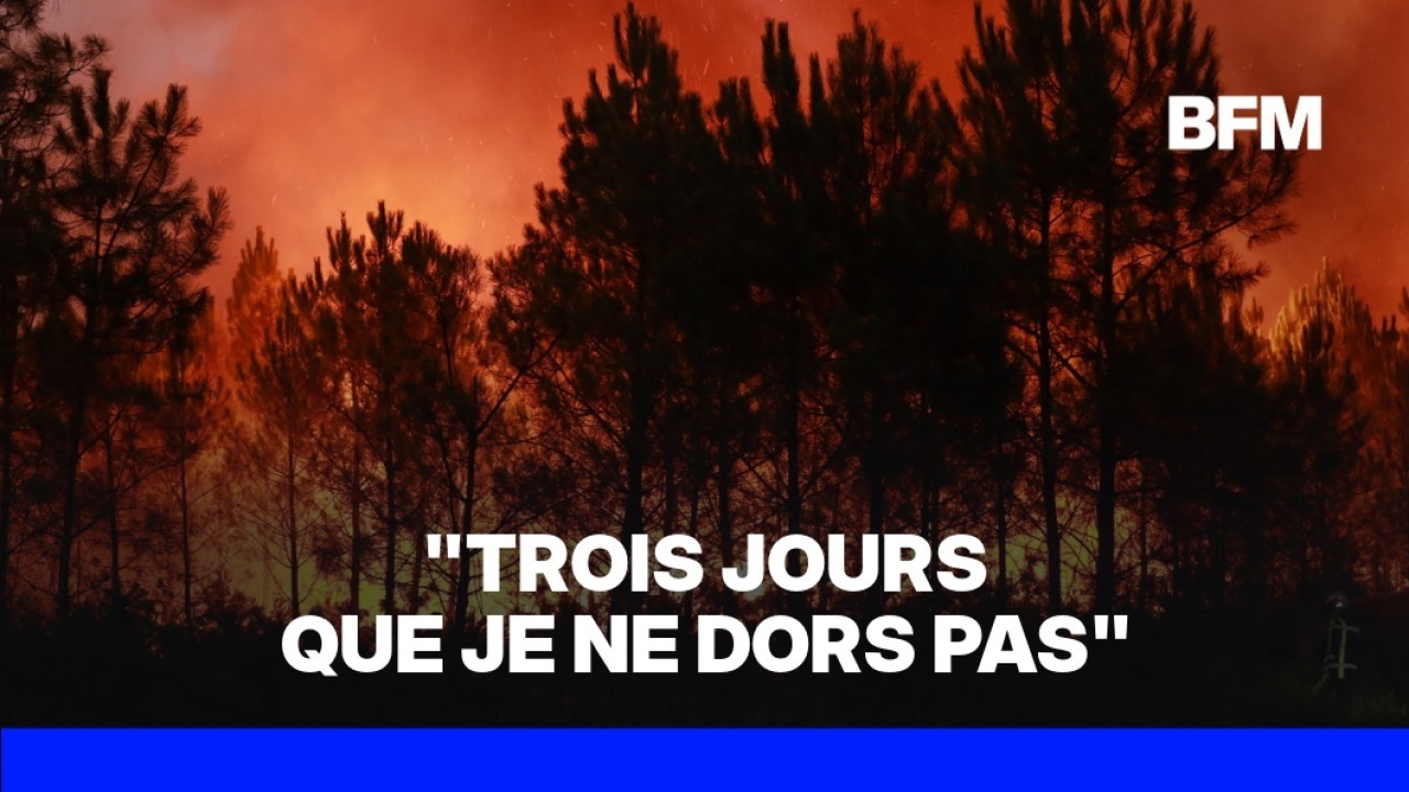 Gironde, Var, Fontainebleau...Des reprises de feu dans les départements touchés par les incendies