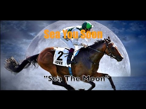 SEA THE MOON -  The Races