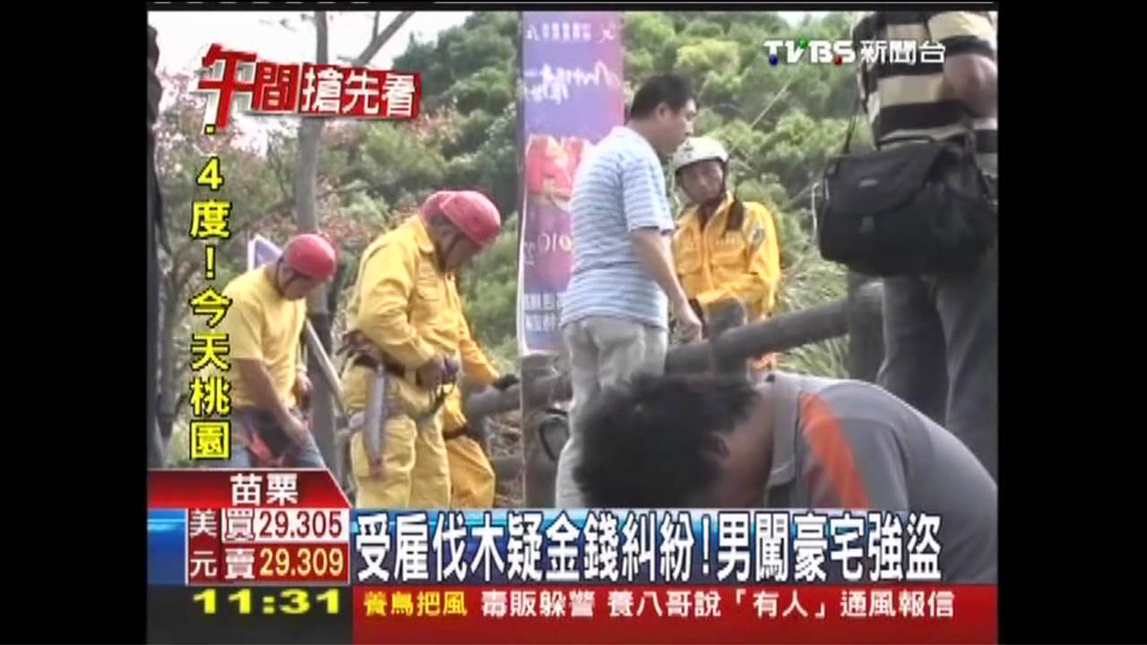 受雇伐木疑金錢糾紛 男闖豪宅強盜