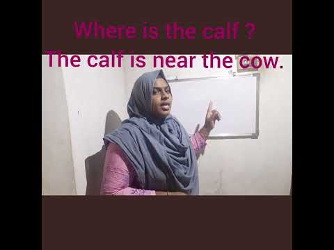 Ukg class  ENGLISH  where....