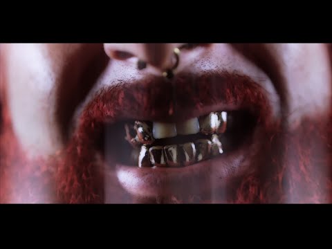 Dashius Clay - Look At My Golds [Official Music Video]