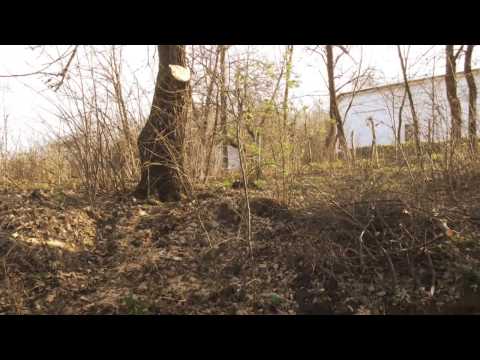 Brabova,Dolj,Romania.Un peisaj dezolant