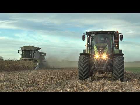 Claas Lexion 770 TT and Axion 850 Cmatic + corn harvest + high speed threshing in Germany