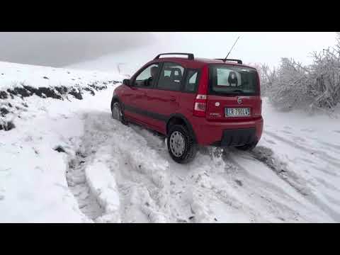 Panda 4x4 Neve