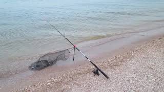Отдыха и рыбалка базы на азовском море недорого