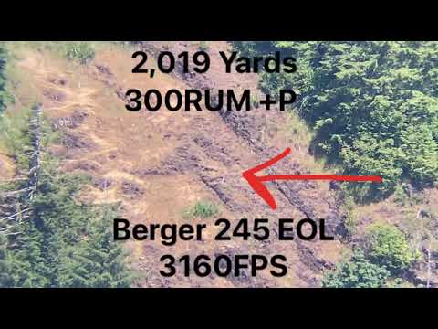 300 RUM @ 2,019 Yards