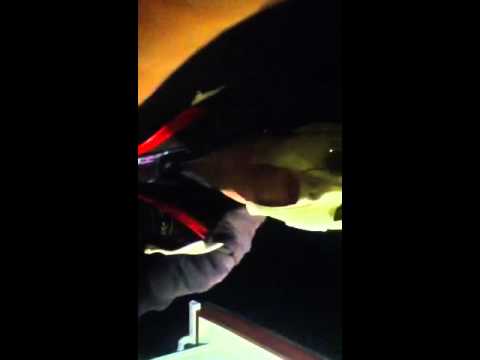 Dj jelly jell  rack city video 3