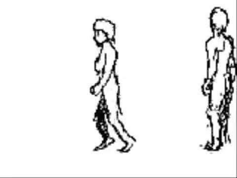 Human Life Cycle...!!!