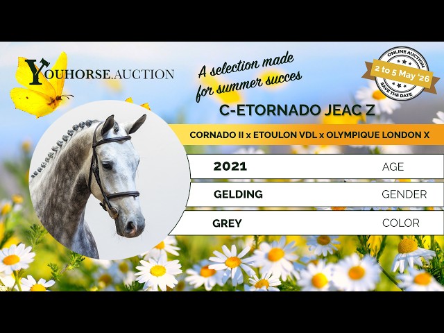 C Etornado Jeac Z showvideo