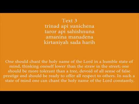 Sri Siksastakam Recitation - HH Krishna Kshetra Swami - ISKCON Ljubljana