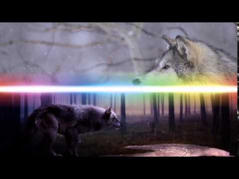 A Loop in Time - Wally Brill by Lan House Z