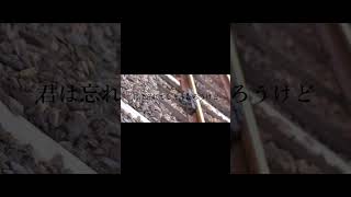 【#盗作】【#ヨルシカ】【#shorts】【#永久機関】  #盗作 #ヨルシカ  プロフよりYouTube fullへ飛べます！ #初音ミク #anime  #hatsunemiku