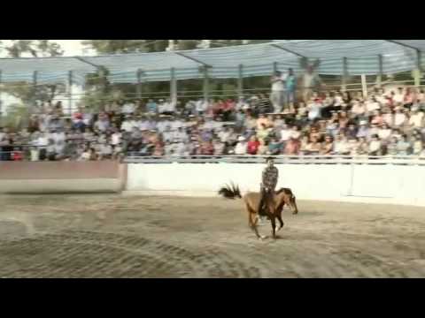 Trilla Yegua Suelta - 2013 - Colina