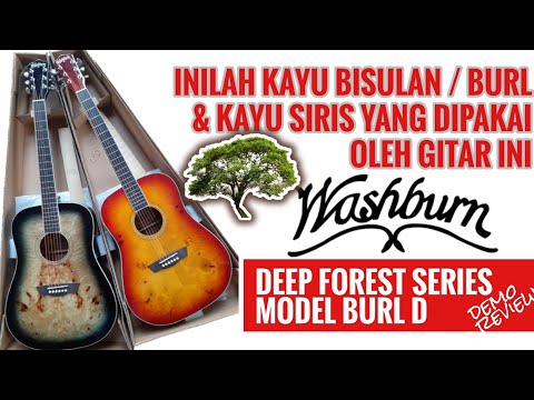 Washburn DFBDB Deep Forest Dreadnought  Poplar Burl-Blend Top Mahogany Neck 6-String Acoustic Guitar image 3