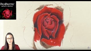 LIVE DEMO|| Red Rose PanPastel and Pencil Painting and Give-aways