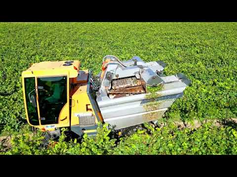 Vendemmia | Pellenc 4560