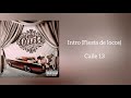 "Intro (Fiesta de locos)" Calle 13