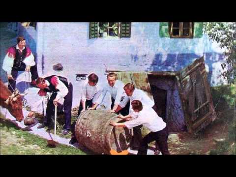 Ansambel Vandrovček - Hanzek gre v gorice