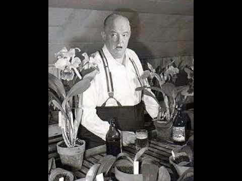 Presenting the Transcription Feature: VIC & SADE and NERO WOLFE