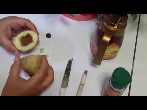 DADDY'S BINDING SO THAT HE GIVES YOU MONEY, SO THAT HE HAS YOU AS QUEEN. TAME HIM QUICKLY. ANCIEN...