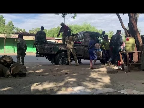 關於衣索匹亞衝突中大規模殺戮的報告 (Reports of mass killing in Ethiopia conflict)