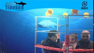 DIA 2 Expo Tiburon278