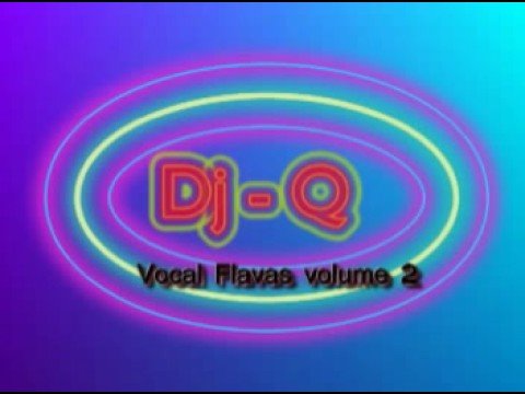 Dj Q - track 11 (vocal flavas volume 2) october 2008