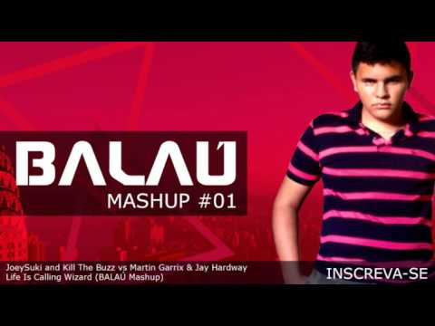 JoeySuki and Kill The Buzz vs Martin Garrix & Jay Hardway - Life Is Calling Wizard (BALAÚ Mashup)