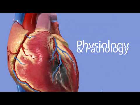 Physiology & Pathology Video