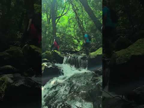 Caraá, um destino onde a natureza surpreende a cada caminho.