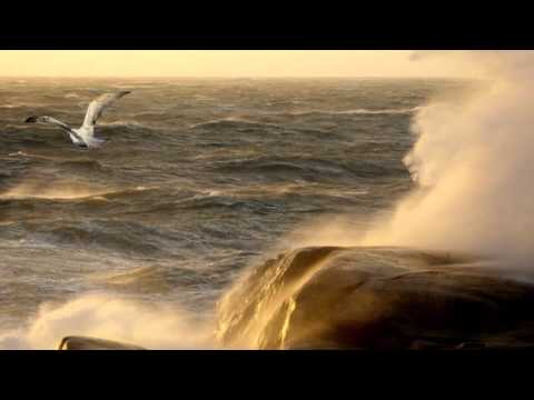 INBJUDAN TILL BOHUSLÄN med ÖBARNA