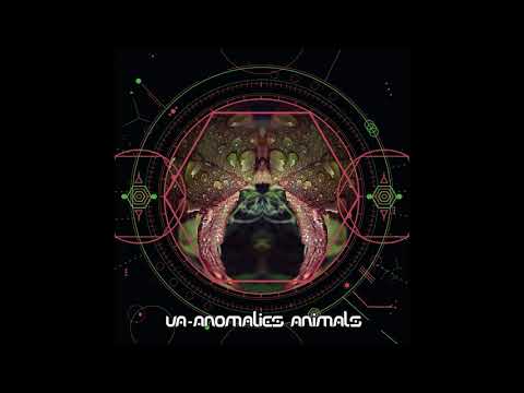 Meerkut & Metaphyz & Anubian & Akkma - Anomalies Animals