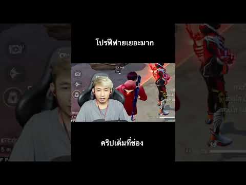 โปร ฟีฟาย
