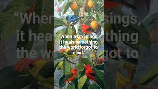 Download lagu #videoviral #motivasi #kutipan #cinta #luar biasa #videopendekviral #umpanpendek #video mp3