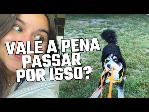 Minha opinião SINCERA sobre HOUSESITTING - como funciona a TrustedHouseSitters na prática