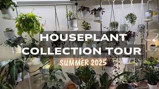 🌿My Mom's Cozy Indoor Jungle (Summer Edition!) 🪴The Ultimate Set-up for Low-Light Spaces