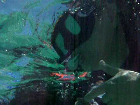 Norbey y Luzma Snorkeling en Playa del Carmen