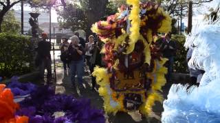 Big Chief Bo - Wild Magnolias- St. Joseph's 2014