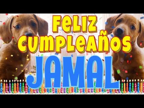 ¡Feliz Cumpleaños Jamal! (Perros hablando gracioso) ¡Muchas Felicidades Jamal!