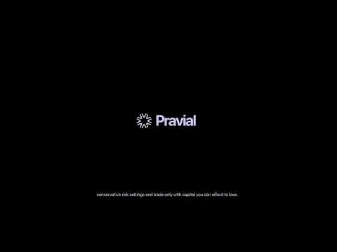 Video Pravial Market Dynamics