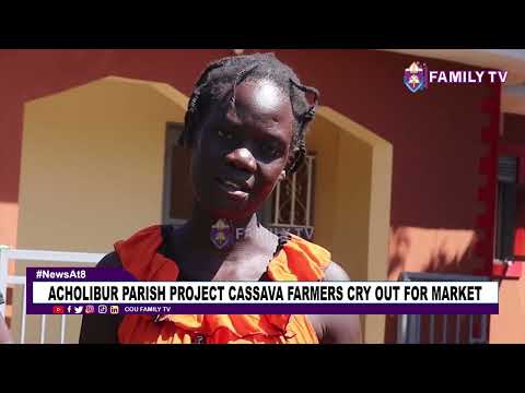Acholibur Parish Project Cassava Farmers Cry Out For Market