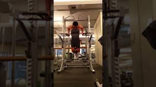 雙槓屈伸 Parallel Bar Dips