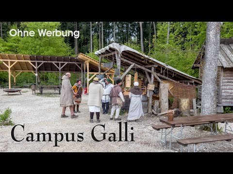 3 gute Freunde - Campus Galli